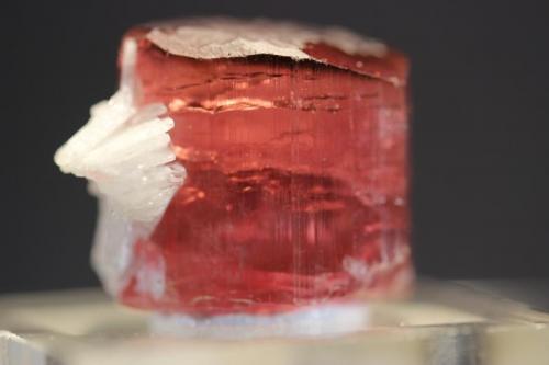 Elbaite (Tourmaline group, variety Rubellite)
Himalaya Mine, San Diego County, California, USA
24 x 12 mm
ex Dr. Winfried Boehmer (Author: Don Lum)