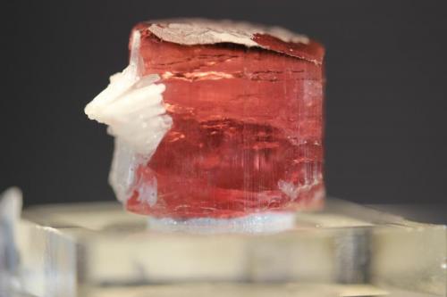 Elbaite (Tourmaline group, variety Rubellite)
Himalaya Mine, San Diego County, California, USA
24 x 12 mm
ex Dr. Winfried Boehmer (Author: Don Lum)