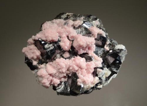 Alabandite
Uchucchacua Mine, Oyon Province, Lima Dept., Peru
5.1 x 5.6 cm.
Well-formed lustrous black alabandite crystals associated with crystallized pink rhodochrosite. (Author: crosstimber)