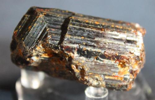 Rutile<br />Parkesburg, Sadsbury Township, Chester County, Pennsylvania, USA<br />5.5 x 3.3 cm<br /> (Author: Don Lum)