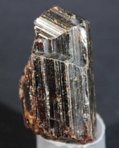 Rutile<br />Parkesburg, Sadsbury Township, Chester County, Pennsylvania, USA<br />5.5 x 3.3 cm<br /> (Author: Don Lum)