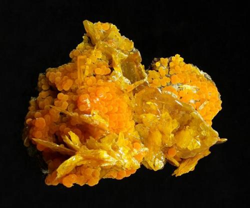 Wulfenite and Mimetite
San Francisco Mine, near Cucurpe within the Sierra Prieta, Municipio de Cucurpe, Sonora, Mexico
66 x 56 mm
Older piece from the 1960s find. (Author: GneissWare)