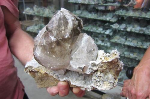 Quartz
Fonda, Mohawk County, New York, USA
13 cm. Top to bottom.
More quartz on dolostone. (Author: vic rzonca)