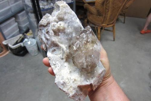 Quartz
Fonda, Mohawk County, New York, USA
Crystal is 12 cm.
We are lucky to have a bit of ground at the site that gives up quartz on matrix. (Author: vic rzonca)