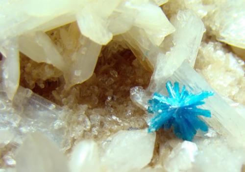 Cavansita sobre Estilbita
Cantera Wagholi, Wagholi, Poona, Maharashtra, India.
Cristales de 1 cm de diámetro.
Detalle de los cristales de la pieza anterior. (Autor: D.N.S.Borràs)