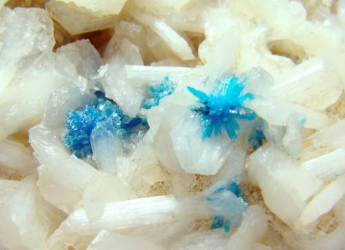 Cavansita sobre Estilbita
Cantera Wagholi, Wagholi, Poona, Maharashtra, India.
Cristales de 1 cm de diámetro.
Detalle de los cristales de la pieza anterior. (Autor: D.N.S.Borràs)