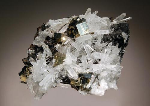 Pyrite
Alimon Mine, Huaron mining district, Huayllay district, Pasco Province, Pasco Department, Peru
8.2 x 10.6 cm.
Typical cubic pyrite crystals with colorless quartz crystals and black sphalerite  on a massive sphalerite matrix (Author: crosstimber)