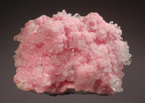 Rhodochrosite
Santa Rita Mine, Morococha District, Yauli Province, Junín Department, Peru
5.0 x 7.0 cm.
A druse of lustrous pink hodochrosite crystals interspersed with transparent quartz crystals on a massive rhodochrosite and sulfide matrix. (Author: crosstimber)