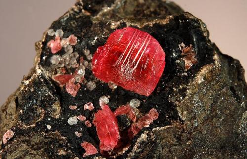 Rhodochrosite
Uchucchacua Mine, Oyon Province, Lima Dept., Peru
6.8 x 8.7 cm.  FOV = 5.0 cm 
Gemmy, cherry red rhodochrosite rhombs with stepped faces associated with colorless cuboctahedral fluorite crystals on a black manganese rich matrix. (Author: crosstimber)