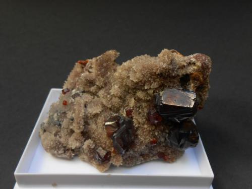 Esfalerita, galena, cuarzo
Shuikoushan Mine, Changning Co. Hengyang Prefecture, China
8 x 4,5 x 3,5 cm
Clásicas ya esfaleritas de Shuikoushan sobre drusa de pequeños cristales de cuarzo. En esta pieza los cristales de galena son pequeños. El cristal mayor de esfalerita mide 1,5 cm. (Autor: Antonio Alcaide)