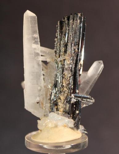 Hübnerite, Quartz
Pasto Bueno District, Pallasca Province, Ancash Department, Peru
5.2 x 4 cm (Author: Don Lum)