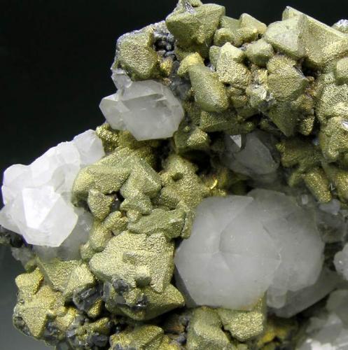 Tetrahedrite covered by Chalcopyrite and Quartz
Herodsfoot Mine, Lanreath, Liskeard, Cornwall, England, UK
Detail
Photo: Reference Specimens (Author: Jordi Fabre)