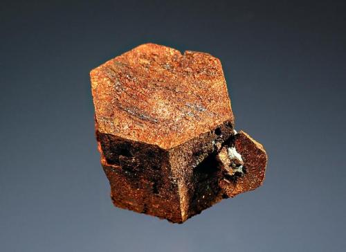 Copper
Corocoro, Pacajes Province, La Paz Department, Bolivia
2.0 x 3.0 cm.
Sharp pseudomorph of native copper after aragonite. (Author: crosstimber)