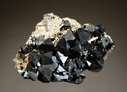 Magnetite
Cerro Huanaquino, Potosi Dept., Bolivia
4.5 x 6.9 cm.
Octahedral magnetite crystals to 1.5 cm. (Author: crosstimber)