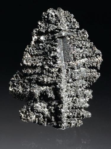 Silver
Chañarcillo, Copiapó Province, Atacama Region, Chile
2x1,5x1 cm
Dendritic sample of Silver (probably pseudomorph after Acanthite) from an old, important origin. (Author: Simone Citon)