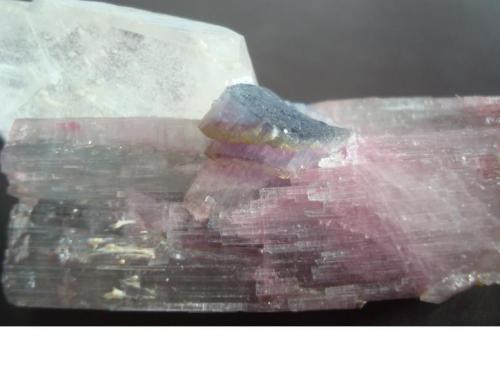 Tourmaline on Quartz
Minas Gerais, Brazil
T. 5,0 x 1,5 x 1,7 cm, Q. 4,7 x 2,6 x 0,8 cm (Author: Jacquou HO)