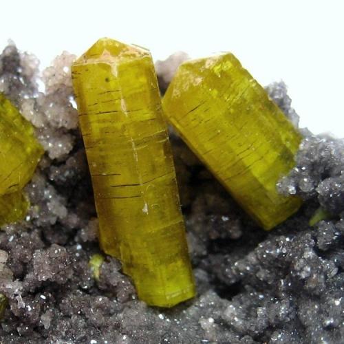 Ettringite
N’Chwaning Mines, Kuruman, Kalahari manganese fields, Northern Cape Province, South Africa
Largest crystal 1,5 cm, FOV 2 cm (Author: Tobi)