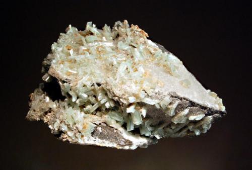 Paravauxite
Siglo Veinte Mine, Llallagua, Bustillo Prov., Potosi Dept., Bolivia
6.1 x 9.4 cm.
Sharp pale green paravauxite blades to 1.0 cm from the type locality. Ex. Philadelphia Academy Collection.  This specimen was collected by Samuel Gordon during one of the Vaux expeditions to Bolivia. (Author: crosstimber)