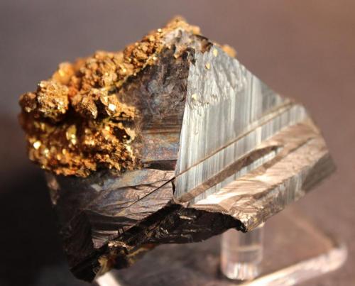 Sphalerite, Marcasite
Trepca District, Kosovo
6 x 5.2 cm (Author: Don Lum)