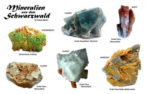 Minerals from Black Forest localities
Black Forest, Germany
 (Author: Tobi)