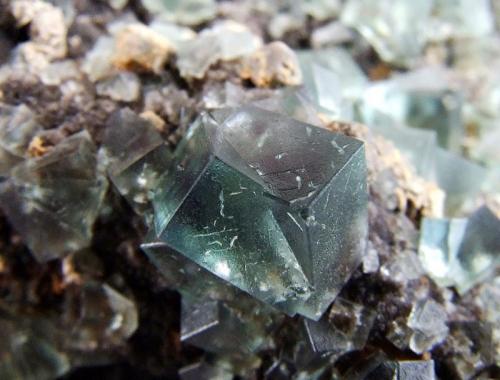 indoor light
Fluorite, Galena, cerussite (?)
Rogerley Mine, Weardale, Co Durham, England, UK.
Fluorite to 7 mm (Author: nurbo)