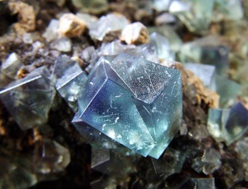 In sunlight
Fluorite, Galena, cerussite (?)
Rogerley Mine, Weardale, Co Durham, England, UK.
Fluorite to 7 mm (Author: nurbo)