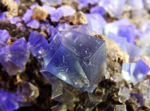 In UV light
Fluorite, Galena, cerussite (?)
Rogerley Mine, Weardale, Co Durham, England, UK.
Fluorite to 7 mm (Author: nurbo)