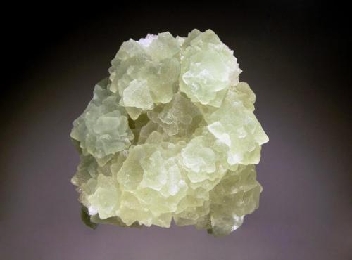 Fluorite
El Gaudro Mine, Talampaya, La Rioja, Argentina
6.2 x 7.1 cm.
Multiple, intergrown, pale green fluorite octahedrons with frosted faces on a quartz matrix. (Author: crosstimber)