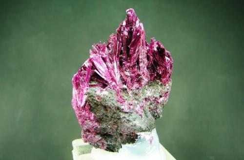 Eritrina
Bou Azzer - Tazenakht - Ouarzazate - Marruecos
5.6 x 3.6 cm (Autor: Diego Navarro)