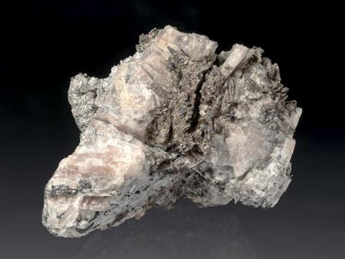 Silver
Sophia Mine, Böckelsbach valley, Wittichen, Schenkenzell, Black Forest, Baden-Württemberg, Germany
4,5x3,5x2 cm
Dendritic Silver in pinkish Baryte, from an old german mine. (Author: Simone Citon)