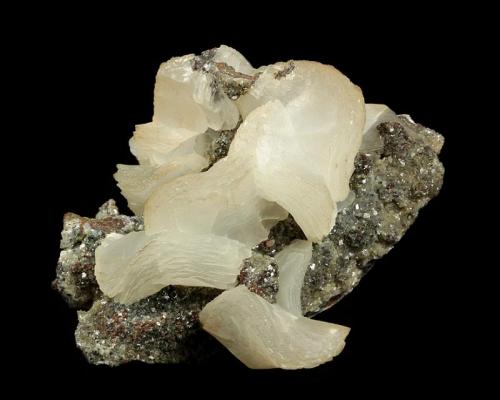 Calcite
Flambeau Mine, near Ladysmith, Rusk County, Wisconsin, USA
81 x 69 x 43 mm

From the East End Footwall Orebody, Marker 418.0 1010 Level

"Wheat sheave" shaped white Calcites to 32 x 16 mm, with pearly luster and light-red Hematite accents are perched on sparkly contrasting matrix of Calcite. Although there is some damage, this is a very rare and important specimen-one of only three Calcites found at the Flambeau Mine in Wisconsin, and the very best one found. It was collected by Casey Jones who sold it to F. John Barlow (#5972), and was later consigned to Casey upon dissolution of the Barlow collection. (Author: GneissWare)