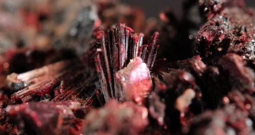 Erythrite
Bou Azzer District, Anti-Atlas Mountains, Tazenakht, Ouarzazate Province, Souss-Massa-Draa Region, Morocco
11.4 x 10.5 cm (Author: Don Lum)