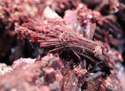 Erythrite
Bou Azzer District, Anti-Atlas Mountains, Tazenakht, Ouarzazate Province, Souss-Massa-Draa Region, Morocco
11.4 x 10.5 cm (Author: Don Lum)