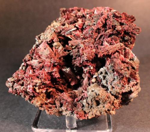 Erythrite
Bou Azzer District, Anti-Atlas Mountains, Tazenakht, Ouarzazate Province, Souss-Massa-Draa Region, Morocco
11.4 x 10.5 cm (Author: Don Lum)