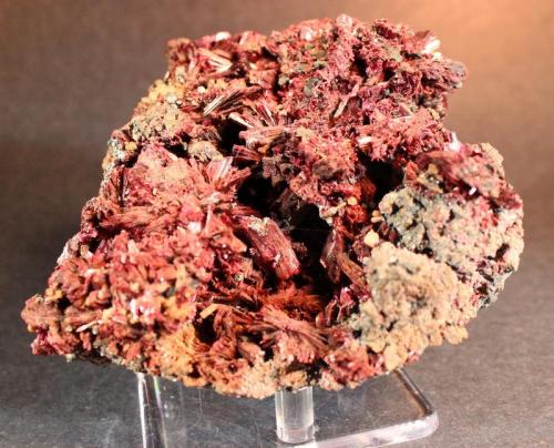 Erythrite
Bou Azzer District, Anti-Atlas Mountains, Tazenakht, Ouarzazate Province, Souss-Massa-Draa Region, Morocco
11.4 x 10.5 cm (Author: Don Lum)