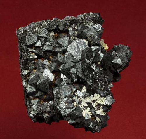 Magnetite
Hercules Mine, Municipio de Camargo, Chihuahua, Mexico
67 x 62 x 40 mm

Shiny black, octahedral crystals of Magnetite to 12 mm are intergrown and accented by a cluster of small, clear Quartz crystals. In excellent conditon, this specimen was self collected during the 1993 Grossular collecting trip Graham and I took. The outcrop lies just outside the mine, and was pointed out to us by Felix who was a mining engineer at the Hercules mine, following some exploratory blasting. (Author: GneissWare)