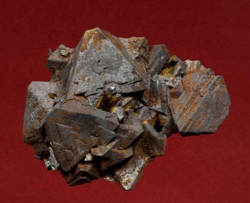 Magnetite
Hercules Mine, Municipio de Camargo, Chihuahua, Mexico
69 x 55 x 33 mm

Black, octahedral Magnetite crystals to 25 mm are intergrown and lightly accented by rusty-red Hematite. In excellent conditon, this specimen was self collected during the 1993 Grossular collecting trip Graham and I took. The outcrop lies just outside the mine, and was pointed out to us by Felix who was a mining engineer at the Hercules mine, following some exploratory blasting. (Author: GneissWare)