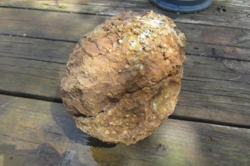 Prehnite
Southbury, New Haven County, Connecticut, USA
20 cm
This 20 cm. vesicle was one of hundreds I walked over, at twilight, in a blast pile. Of course I didn’t know what I had until I broke it open. To late, the pile was gone the next day. (Author: vic rzonca)