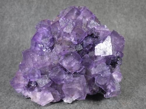Fluorite, Sphalerite, Bitumen
Elmwood Mine, Smith County,  Tennessee, USA
23.5 x 16.1 cm (Author: Don Lum)