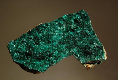 Atacamite
La Farola Mine, Cerro Pintado, Tierra Amarilla,, Copiapo Prov., Chile
5.0 x 7.0 cm.
Lustrous dark green needles of atacamite covering both sides of a flat piece of matrix. (Author: crosstimber)