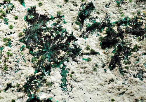 Atacamite
La Farola Mine, Cerro Pinatdo, Tierra Amarilla,, Copiapo Prov., Chile
8.0 x 12.5 cm, FOV~3.5 cm
Flat-laying radial sprays of lustrous, dark green atacamite on a thin layer of off-white halloysite with isolated spherical sprays of light olive green libethenite and blue-green pseudomalachite. (Author: crosstimber)