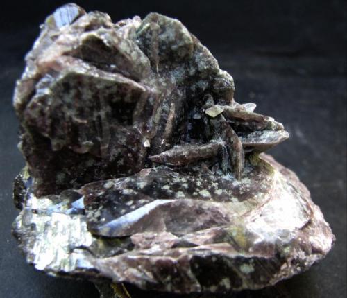 Axinita
Monte Puiva, Janti-Mansi, Región Polar Ural, Rusia
60x52x44mm. (Autor: José Luis Zamora)
