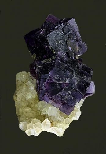 Fluorita.
Berbes, Ribadesella, Principado de Asturias, España.
Cristales de 24 mm. (Autor: Antonio Carmona)