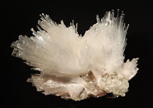 Natrolite
Yeola, Nasik District, Maharashtra, India
7.3 x 9.8 cm.
Divergent sprays of transparent prismatic natrolite associated with small pseudocubic crystals of apophyllite-(KF) on brown basalt. Recovered from a well dig in Sept. 2011. (Author: crosstimber)