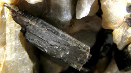 Fluoro-richterita
Wilberforce, Ontario, Canadá.
57 x 38 x 43 mm.
Detalle (Autor: José Luis Zamora)