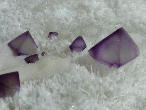 Fluorita en Cuarzo
De´an Fluorite Mine, Wushan, Jiujiang, Jiangxi, China
12 x 7 cm.

Detalle (Autor: javier ruiz martin)