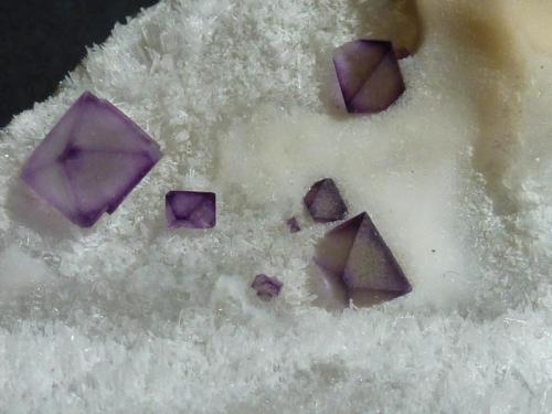 Fluorita en Cuarzo
De´an Fluorite Mine, Wushan, Jiujiang, Jiangxi, China
12 x 7 cm.

Detalle (Autor: javier ruiz martin)