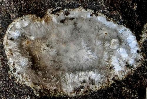 Mesolita
Agaete, Gran Canaria, Islas Canarias, España.
Ancho de imagen 1,8 cm
Mesolita blanca rellenando una vacuola de un basalto amigdalar. (Autor: María Jesús M.)