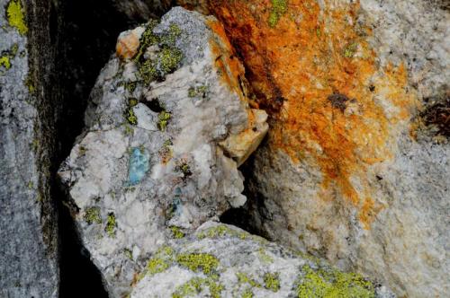 aquamarine beryl
in boulders of pegmatite (Author: thecrystalfinder)