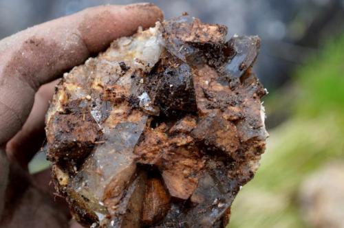 feldspar and smoky quartz
Near Revlstoke BC Canada
2 inches by 3 inches
smoky quartz and feldspar crystals from a pocket zone in the new pegmatite I found (Author: thecrystalfinder)